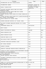 Vestel 24HA9950M HD V-STYLE Wi-Fi 24 inç 60 Ekran MAVİ Uydu Alıcılı Taşınabilir Android LED TV